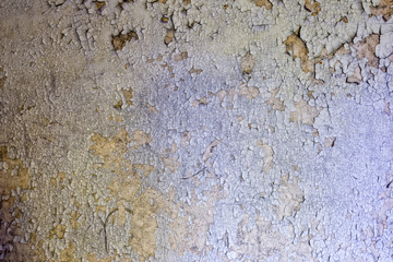 Tapete Variante