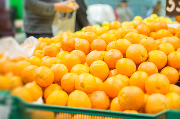 Variety of oranges on boxes in supermarket