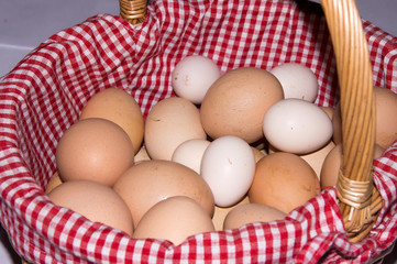 Basket of eggs