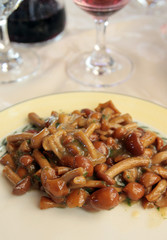 Contorno di funghi chiodini