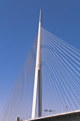 Pylons bridge in Belgrade