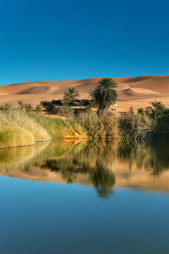 Oasis reflectiob