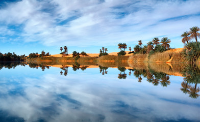 Oasis reflectiob