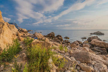 Fototapeta na wymiar Rocky coastline with pine trees on blue sky and sea background
