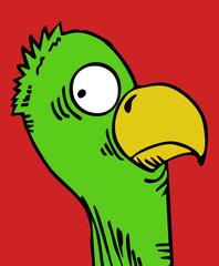 Creative bird design