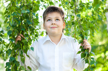 The Boy in the birch forest