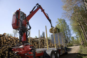 Loading Timber