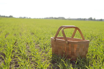 basket on a field