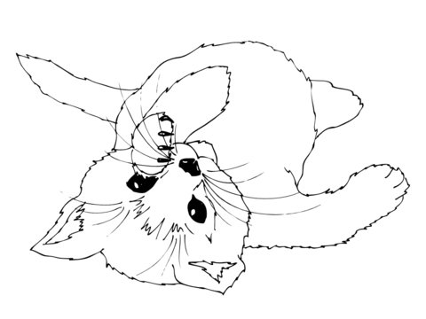 K&auml;tzchen