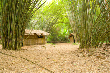 Bamboo house in the jungle