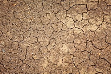 dry land