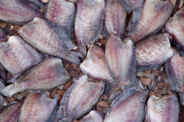 Salid Fish for sale in market ,Thailand