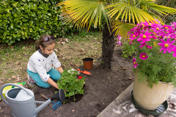 planter un géranium © Eléonore H