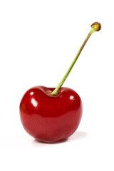single cherry