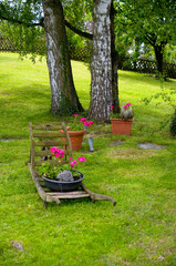 Fototapete bei efototapeten.de bestellen   