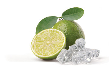eaf mint and cut citrus in ice isolated on white background
