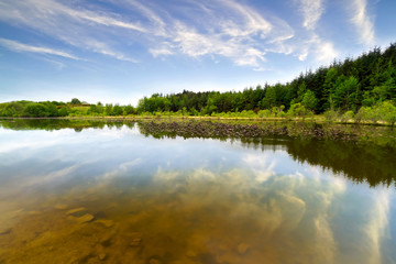 Beautiful Irish forest reflected in the lake