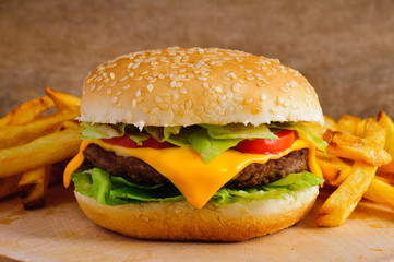 Cheeseburger and french fries - 41909111