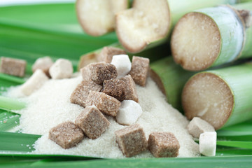 sucre de canne