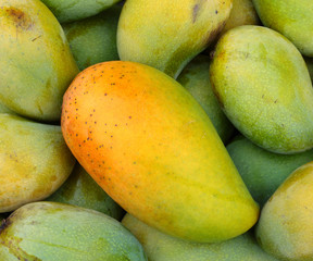 Mango fruit , thailand