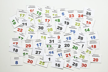 Individual blades of a day calendar