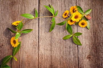 yellow flowers on wooden background