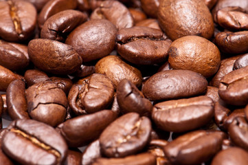 Coffee-Beans (macro view)