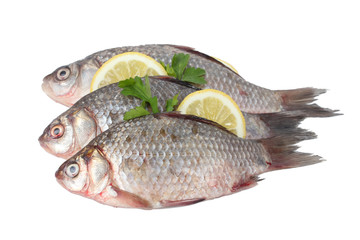Fresh fishes with lemon, parsley and spice isolated on white