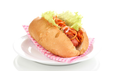 Appetizing hot dog on plate isolated on white