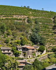 Terraced Vineyards of Malevall France