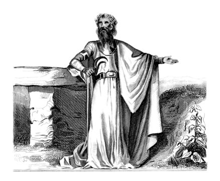 Druid