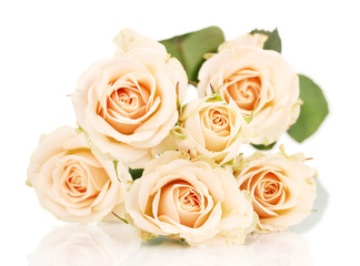 Fototapeta na wymiar Piękne róże na białym