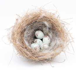 Nest.