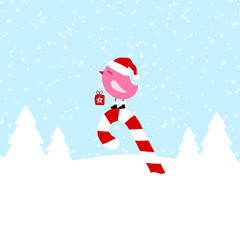 Pink Bird On Candy Cane Blue