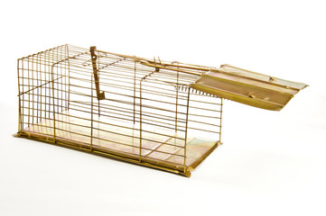 Old Mouse Trap Isolated on White