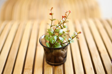 Fake vase on wood table