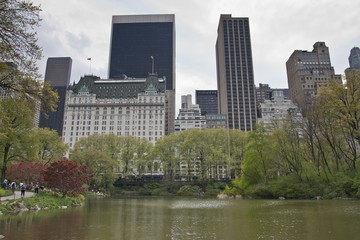 Obraz premium New York - Central Park