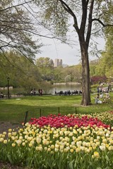 Obraz premium New York - Central Park