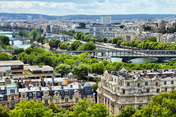 Fototapeta premium Paris - Seine river