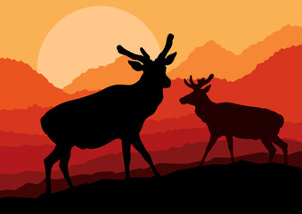 Fototapeta na wymiar Deer family couple silhouettes in wild mountain nature landscape