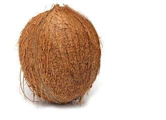 Coconut isolated on white