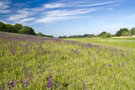 landscape with blue sky