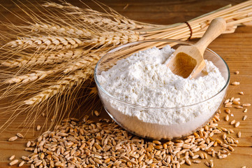 Wheat, grain and flour - 41920552