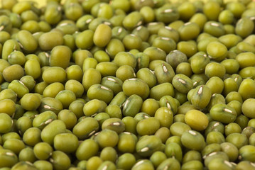 Abstract background: Green mung beans