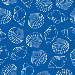 Sea shell seamless pattern