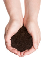 Soil in hands