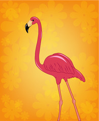 Beautiful pink flamingo on a flower background