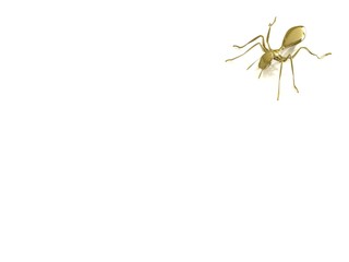 3d golden ant