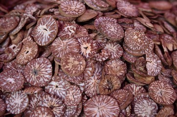 Noci di Betel