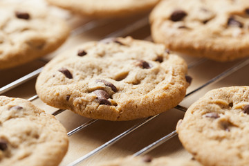 Fresh Chocolate Chip Cookies